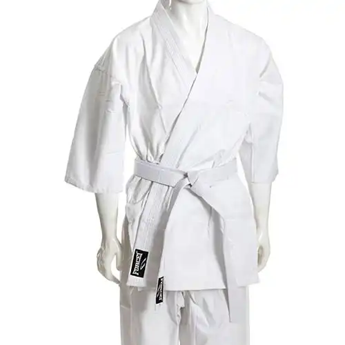 Είδη Kyokushinkai & Kung Fu