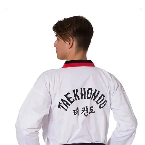 Είδη Taekwondo